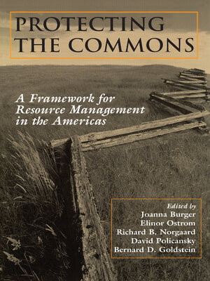 cover image of Protecting the Commons